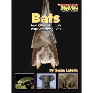 Bats and other animals with amazing ears cover