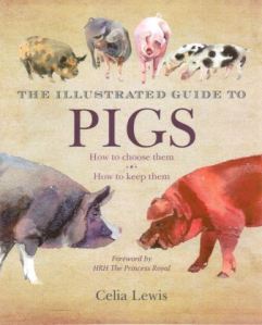 Illustrated Guide to Pigs