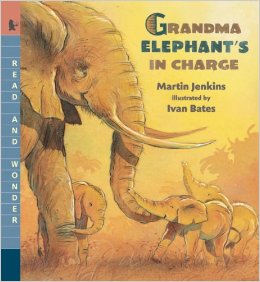 Grandma Elephant cover