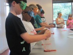 Science in the Summer Picture