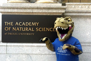 eddy-in-front_308x206